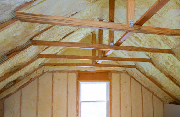 Best Local Insulation Services  in Mountain View, HI