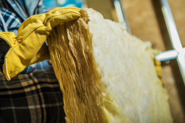 Best Insulation Repair Services  in Mountain View, HI