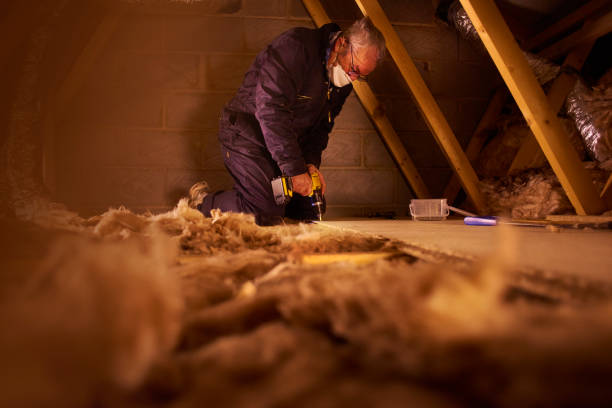 Garage Insulation Installation in Mountain View, HI